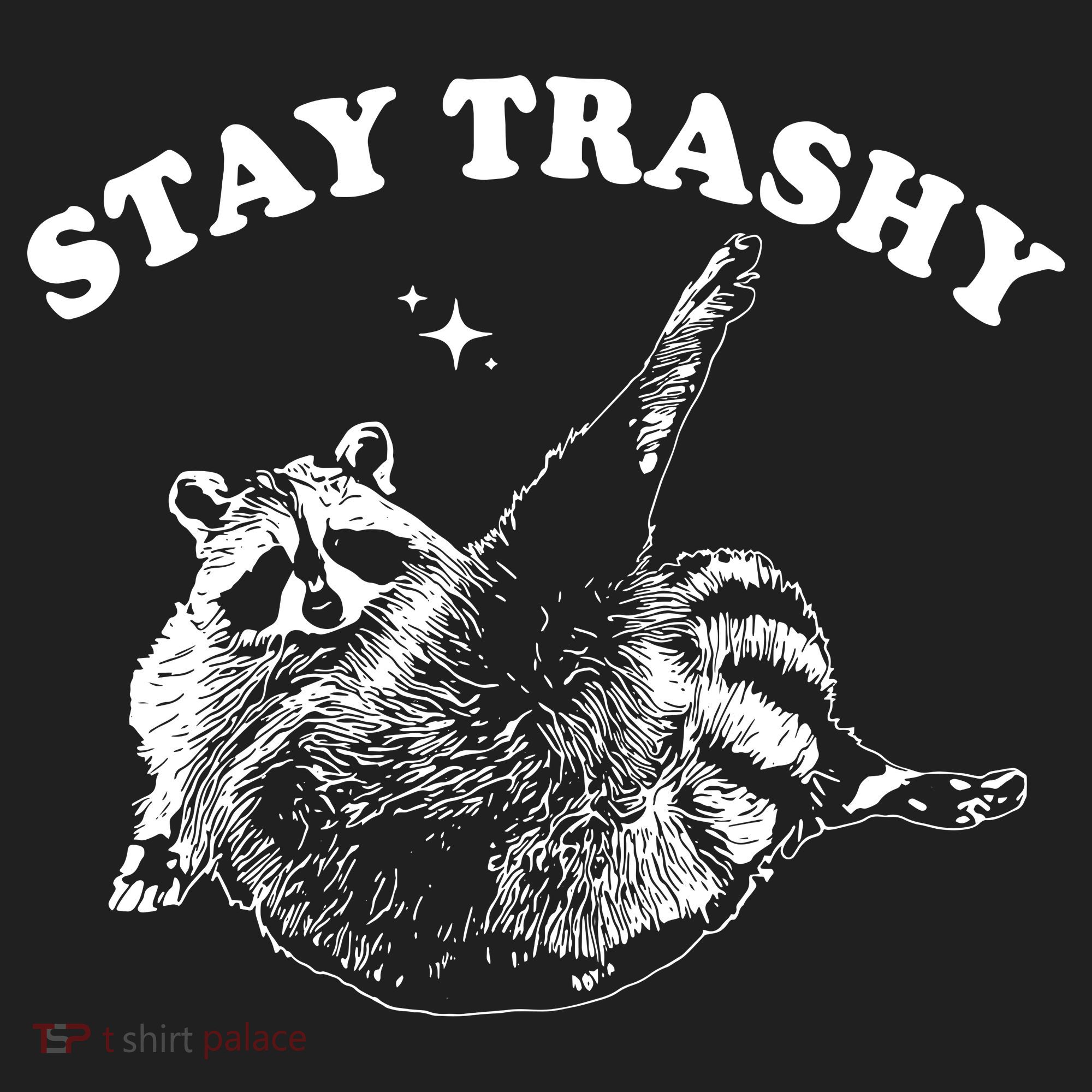 Stay Trashy Raccoon Women's Sweatshirt