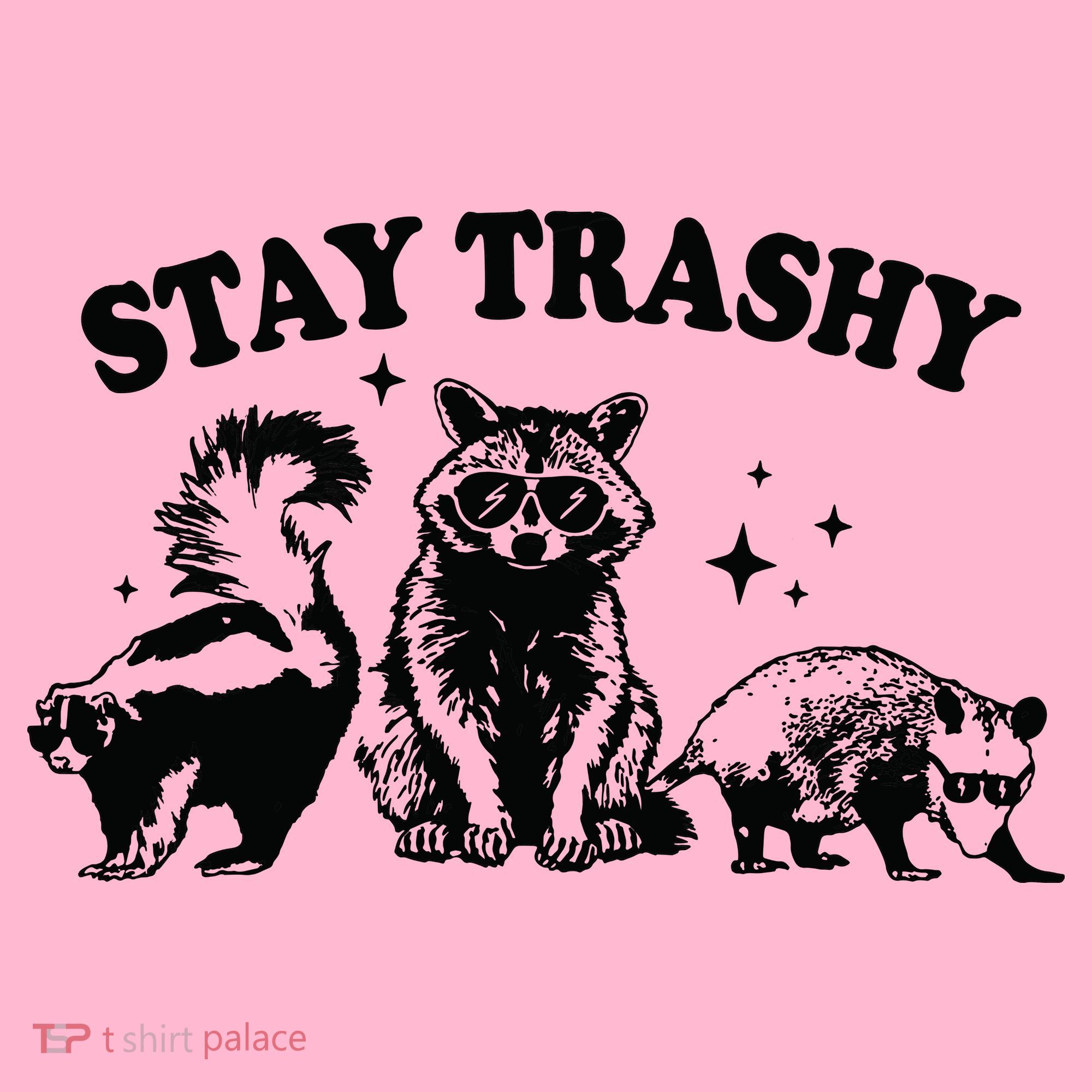 Stay Trashy Retro Funny Racoon Coaster