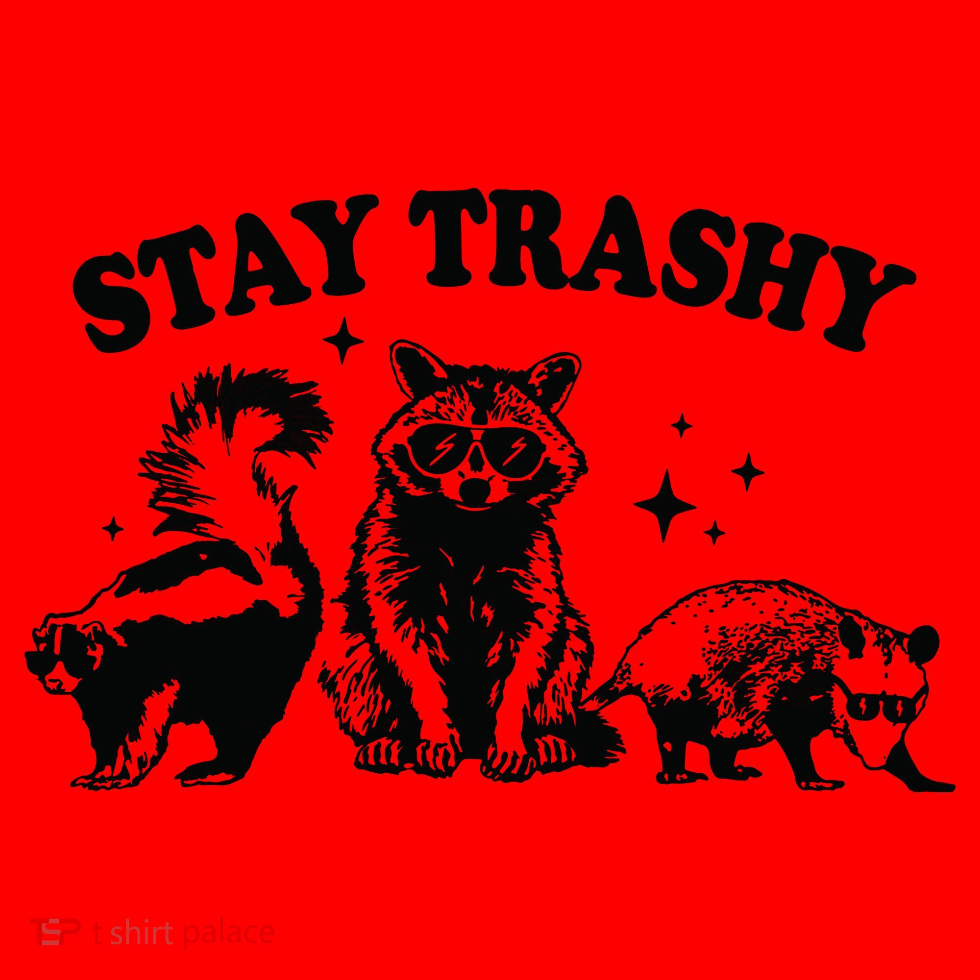 Stay Trashy Retro Funny Racoon Santa Hat