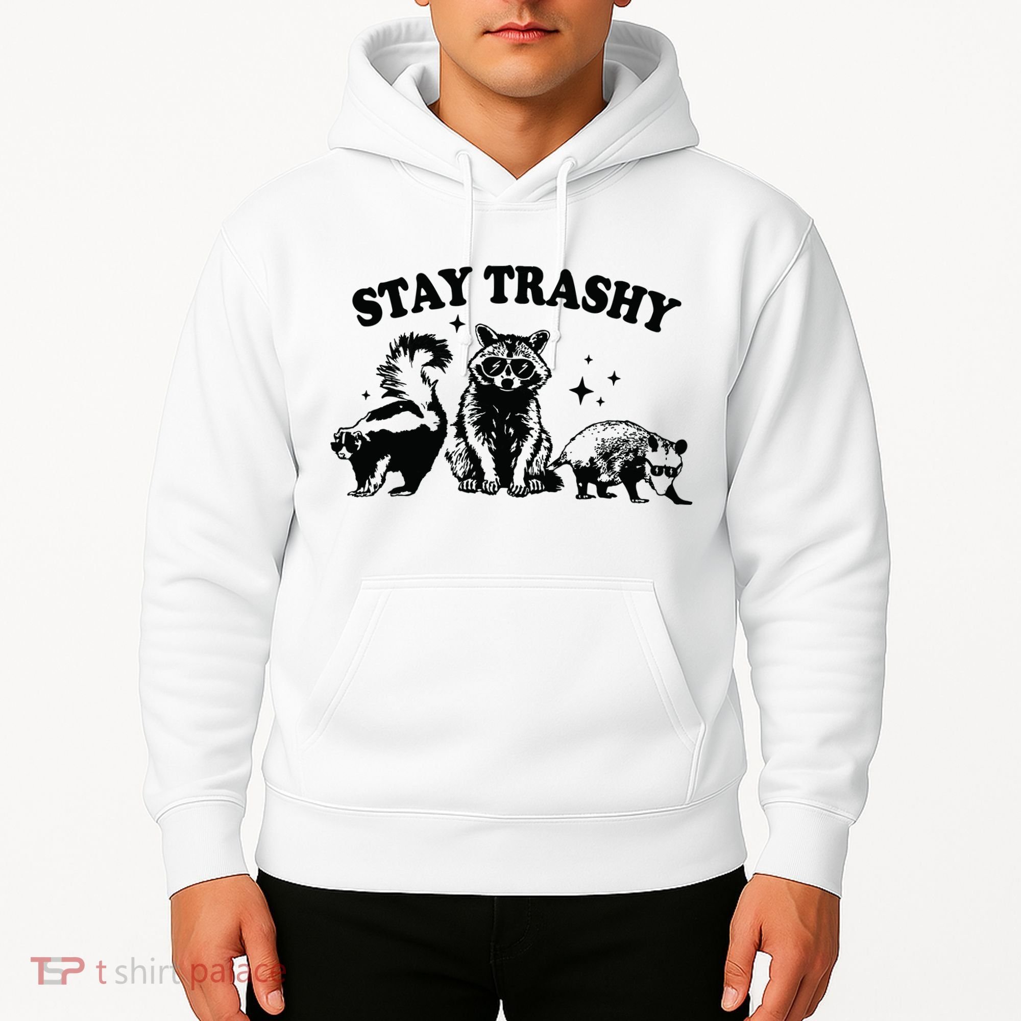 Stay Trashy Retro Funny Racoon Hoodie
