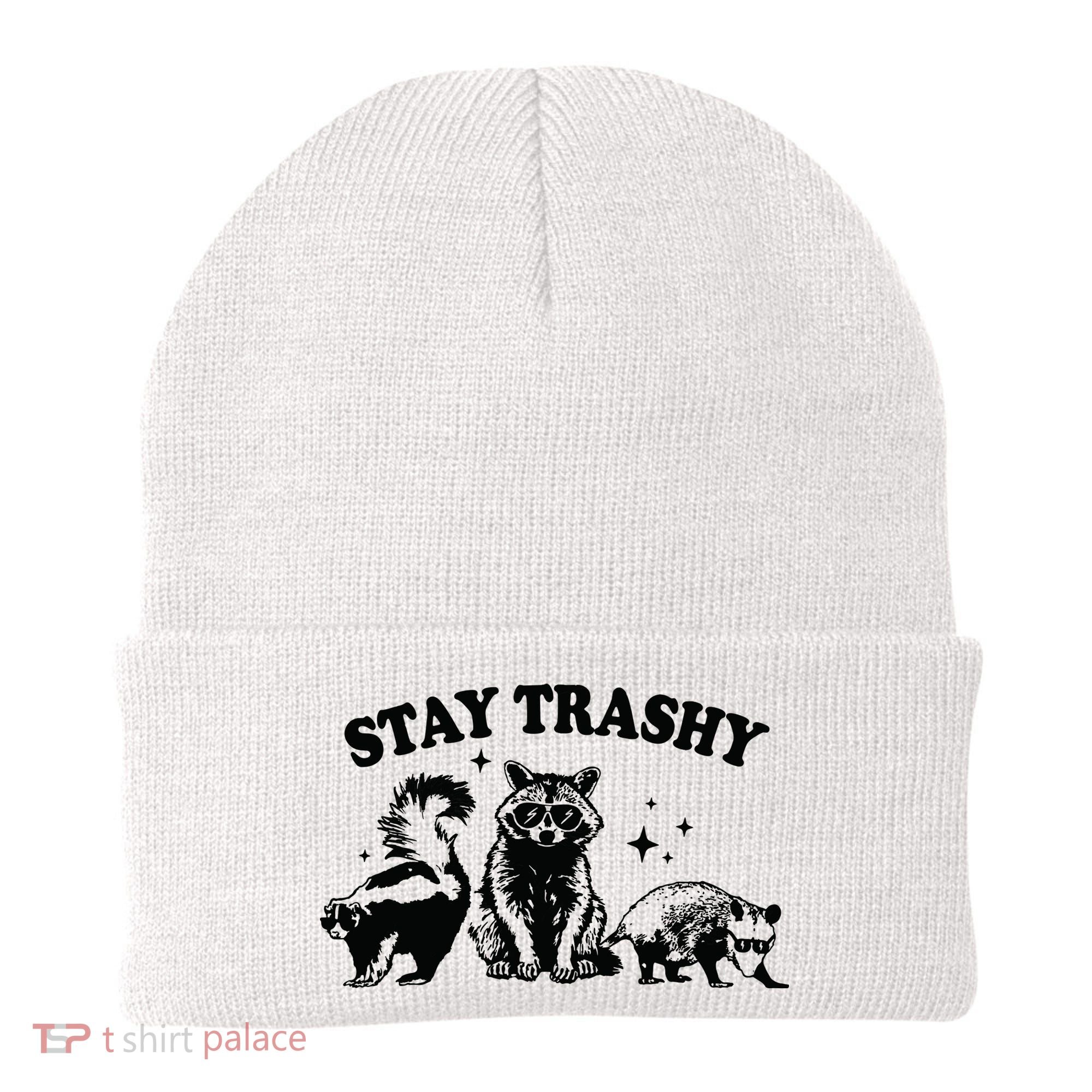Stay Trashy Retro Funny Racoon Beanie