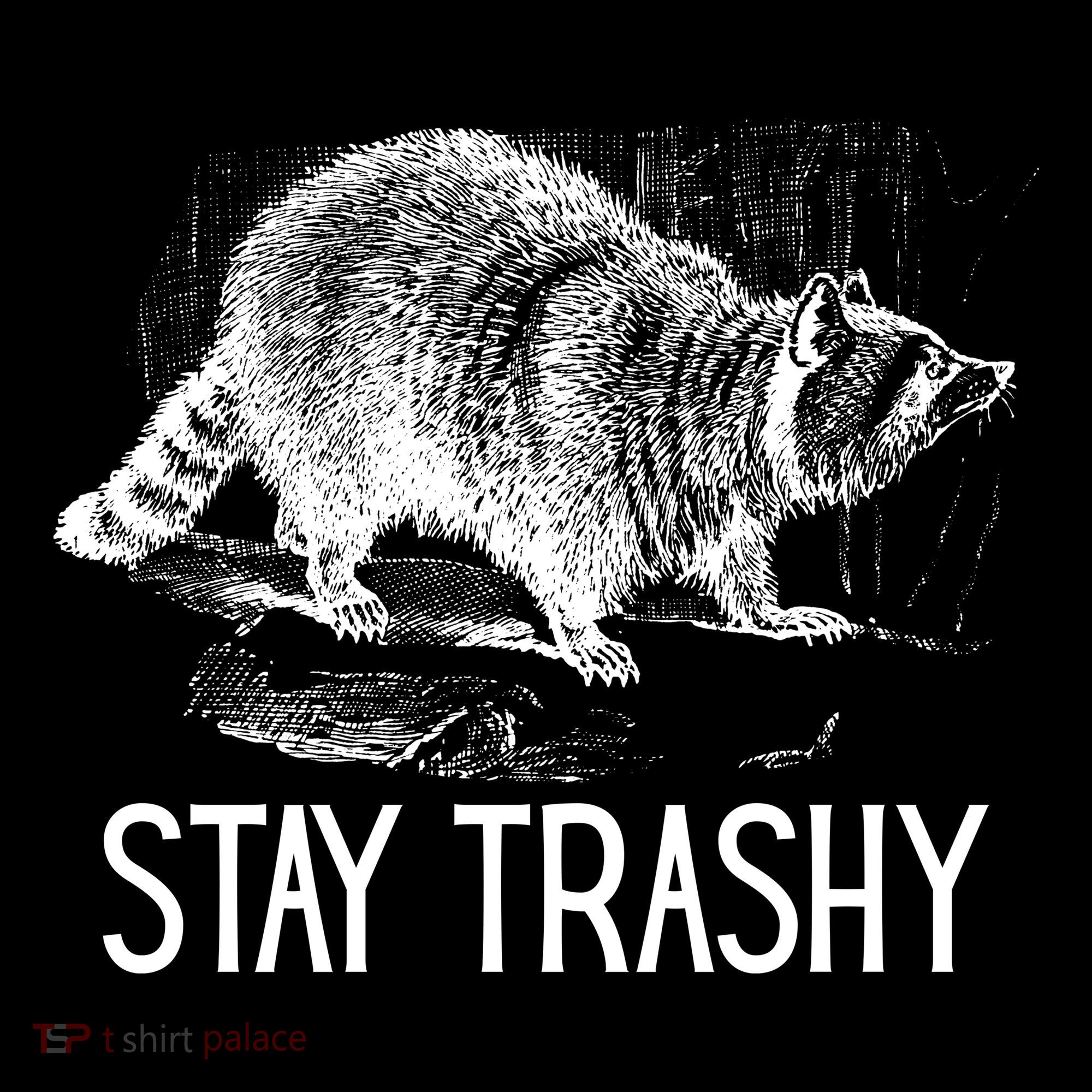 Stay Trashy Raccoon Funny Meme Coaster