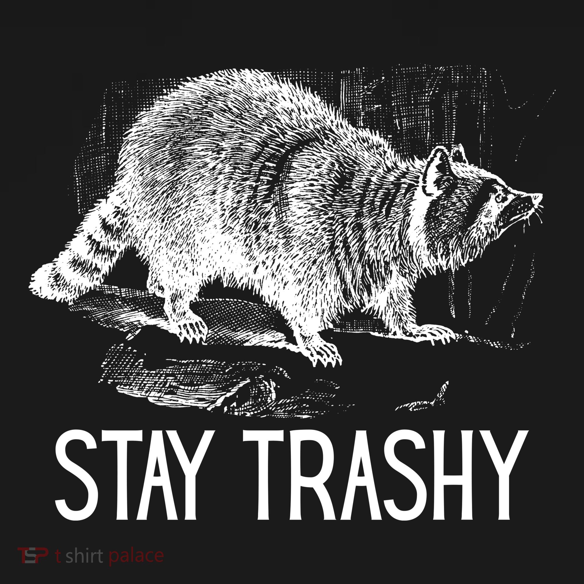 Stay Trashy Raccoon Funny Meme Tote Bag