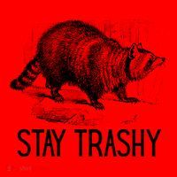 Stay Trashy Raccoon Funny Meme Santa Hat thumb 1