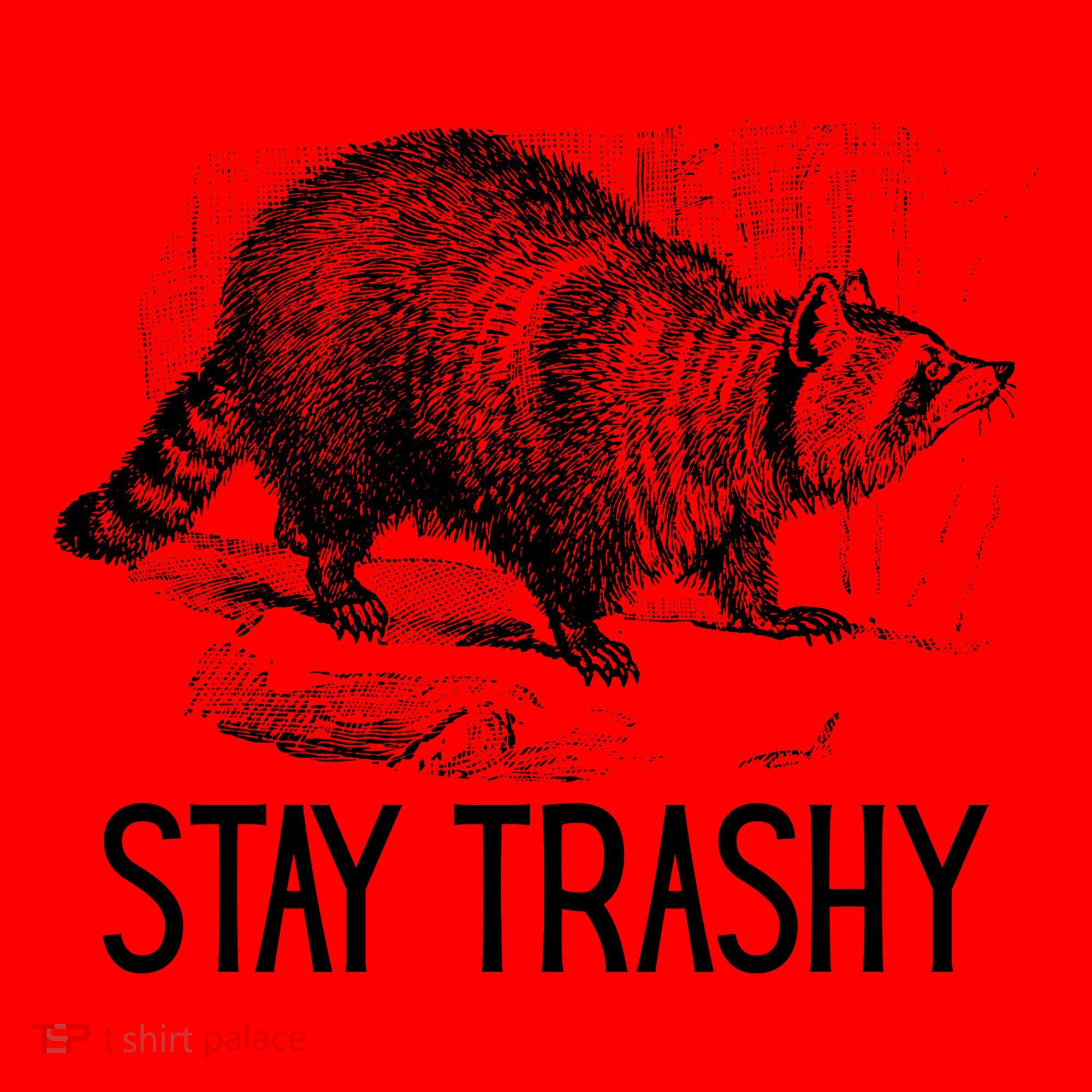 Stay Trashy Raccoon Funny Meme Santa Hat