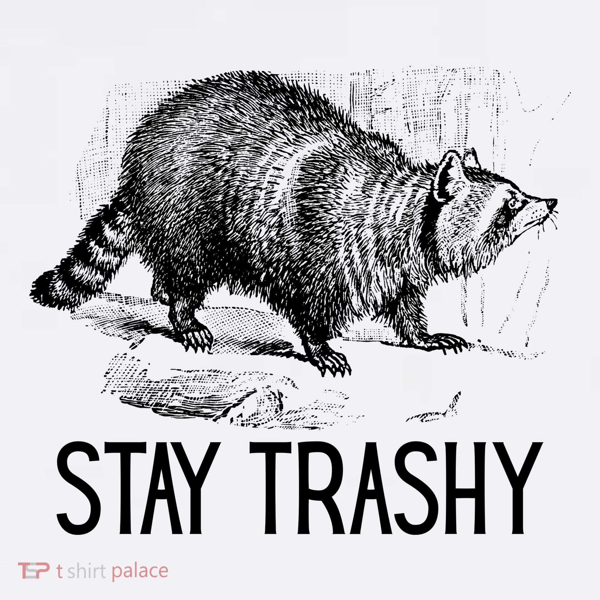 Stay Trashy Raccoon Funny Meme Button