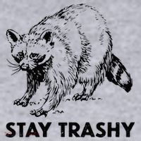 Stay Trashy Raccoon Women's Sweatshirt thumb 2