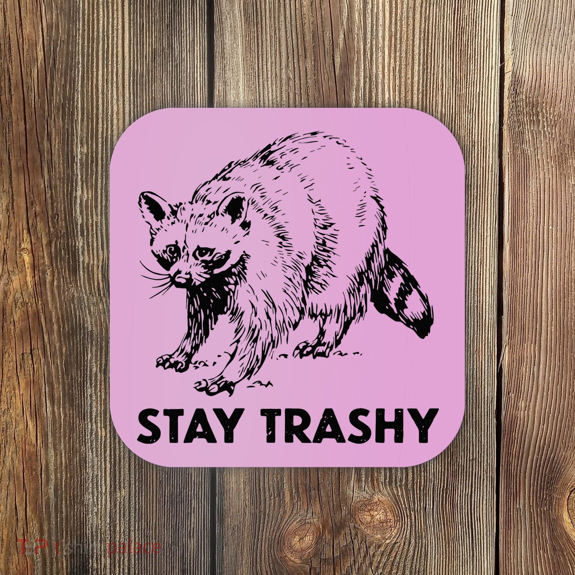 Stay Trashy Raccoon Coaster