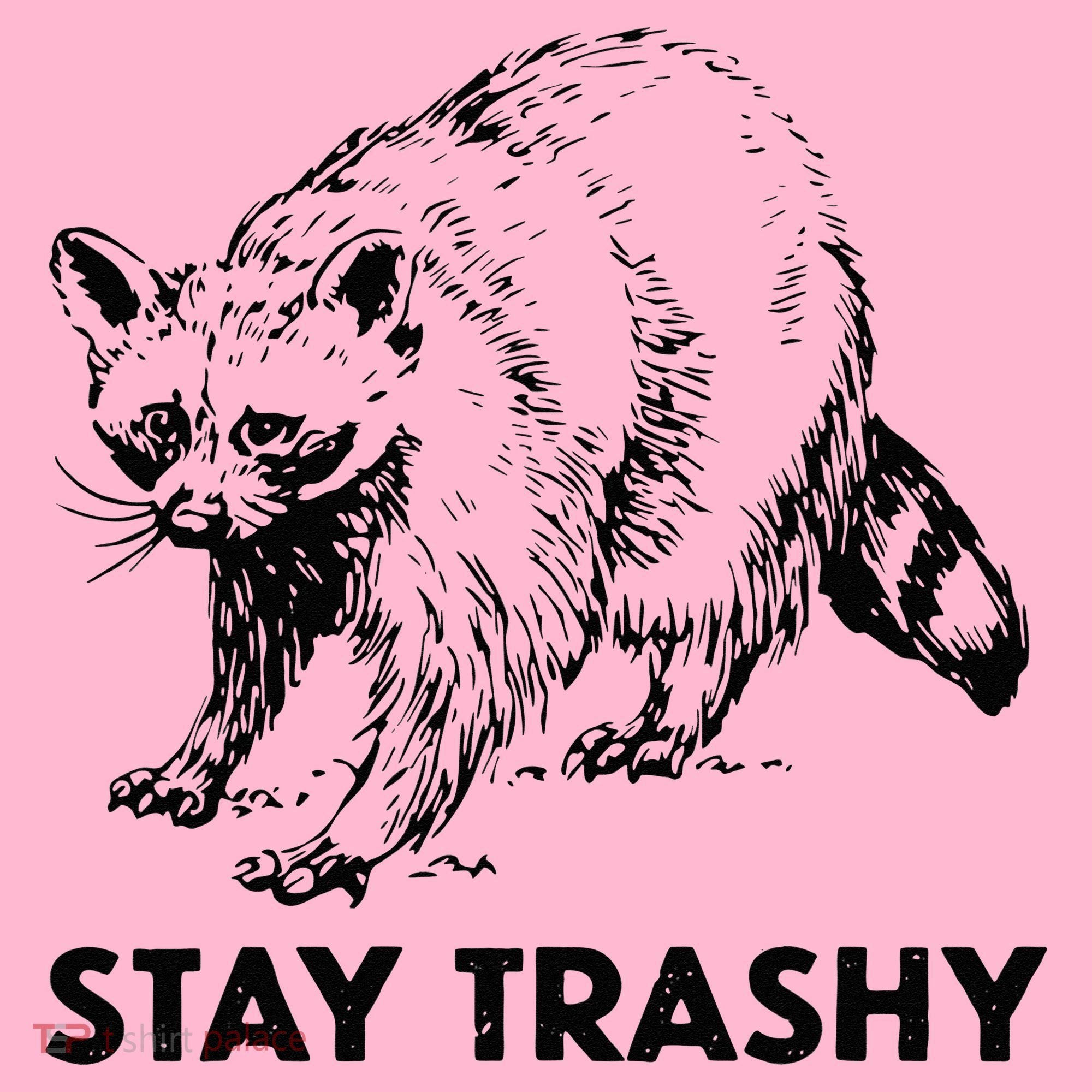 Stay Trashy Raccoon Coaster