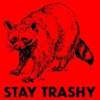 Stay Trashy Raccoon Santa Hat thumb 1
