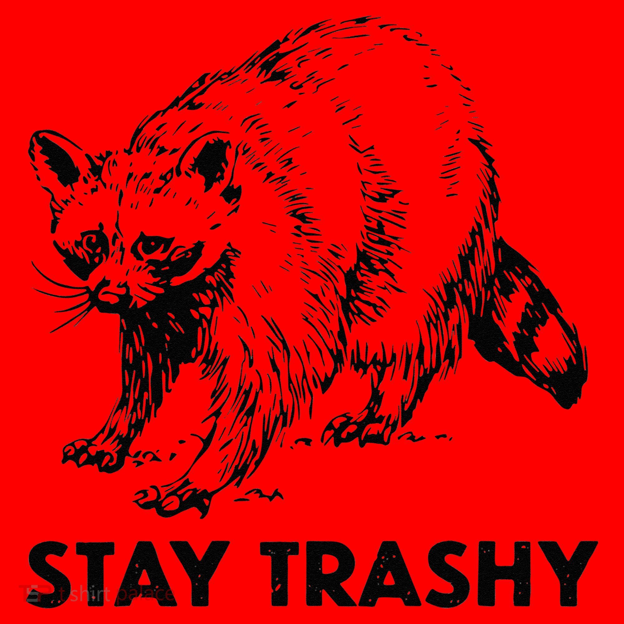 Stay Trashy Raccoon Santa Hat