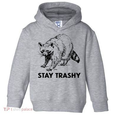 Stay Trashy Raccoon Toddler Hoodie