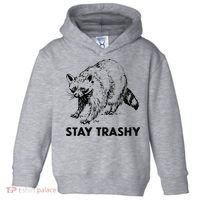 Stay Trashy Raccoon Toddler Hoodie thumb 0