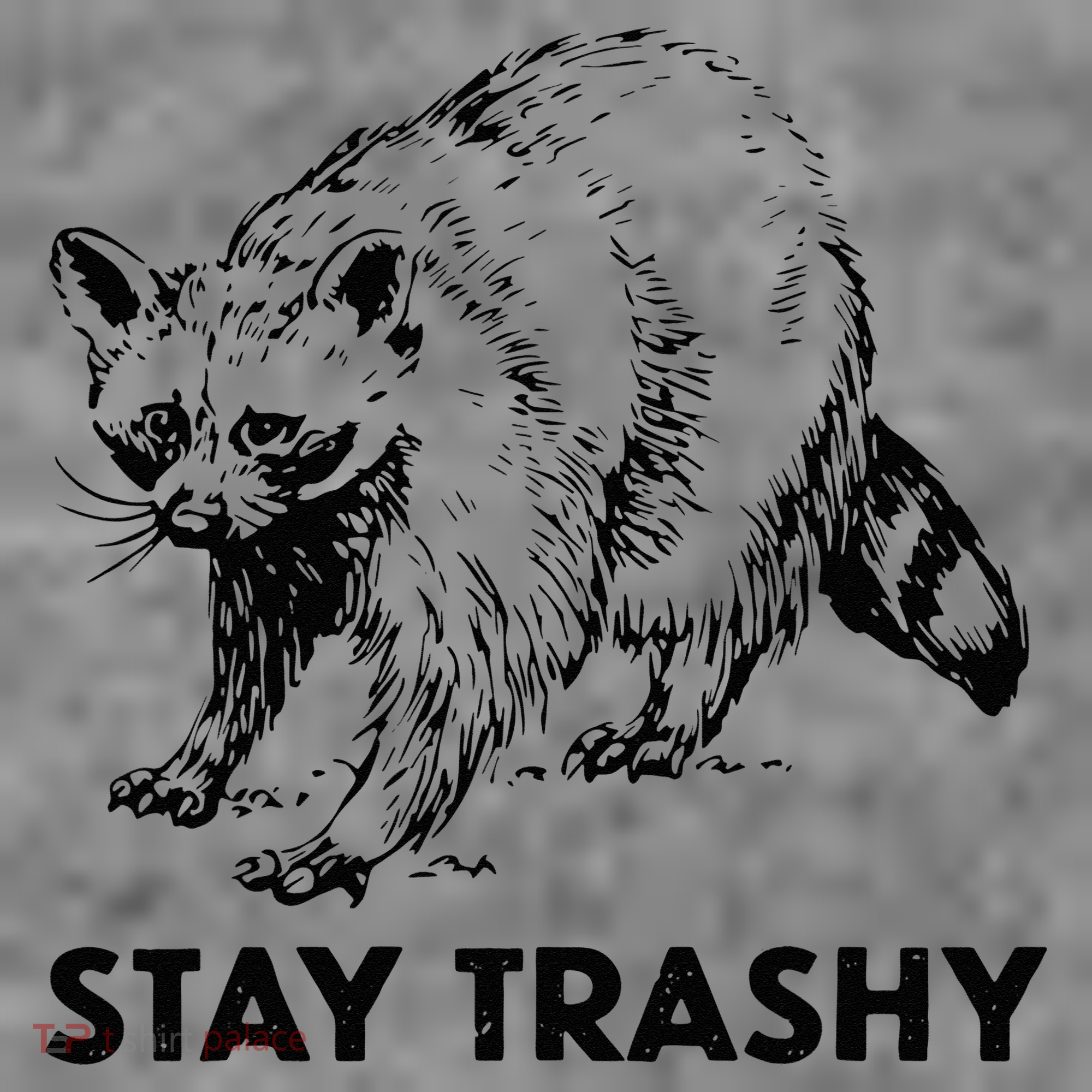 Stay Trashy Raccoon Toddler Hoodie