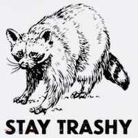 Stay Trashy Raccoon Bucket Hat thumb 4