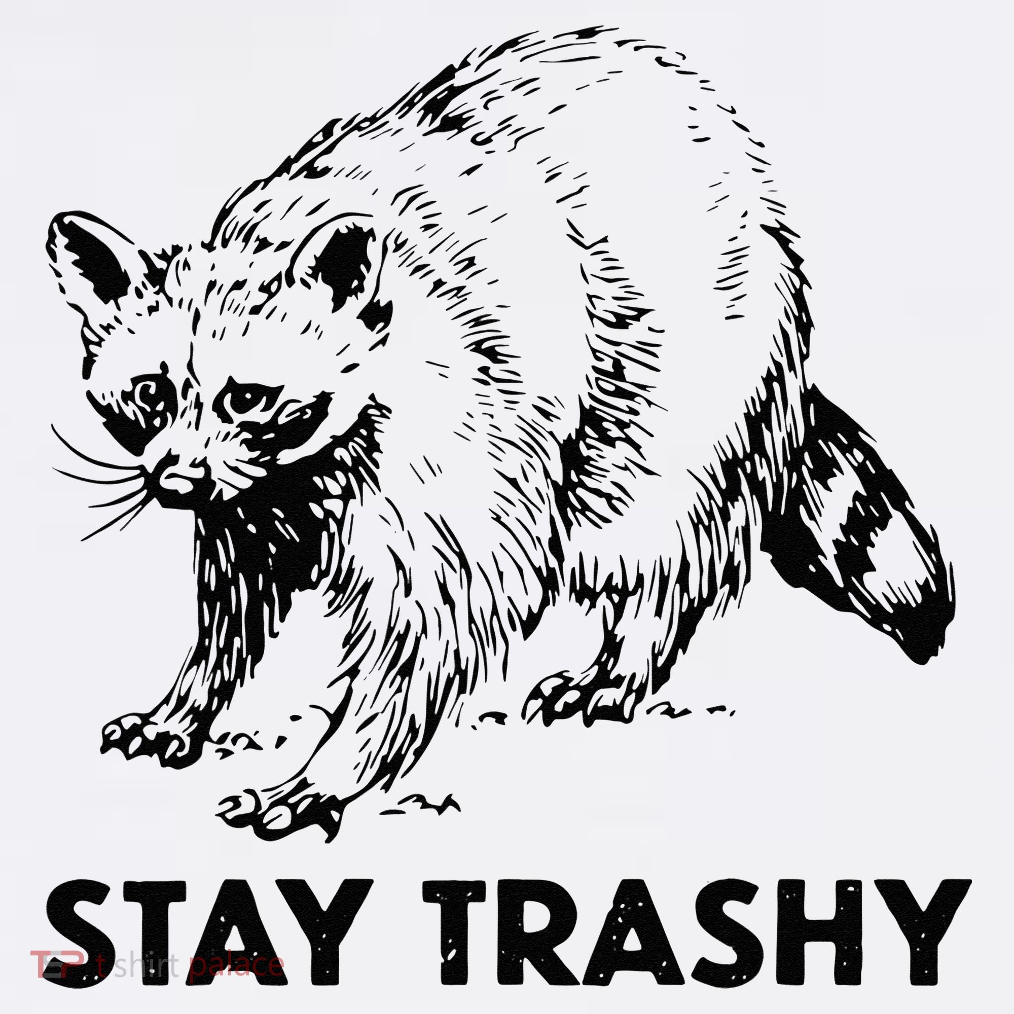 Stay Trashy Raccoon Visor