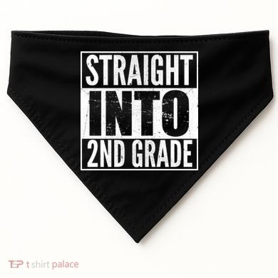 Straight Into 2nd Grade USA-Made Doggie Bandana