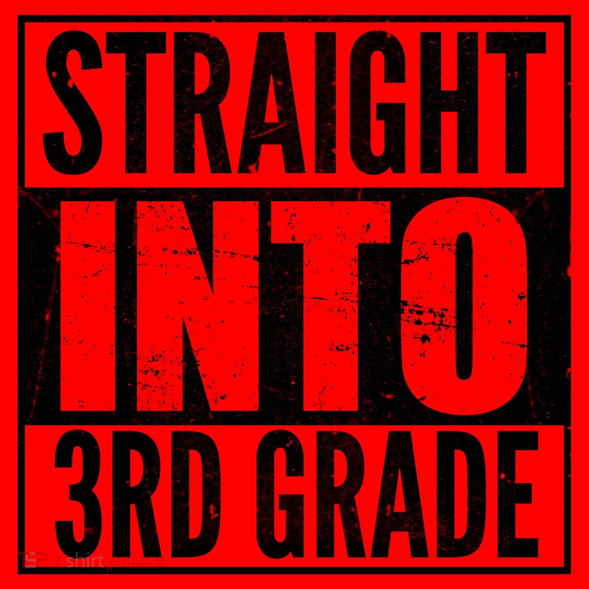 Straight Into 3rd Grade Santa Hat