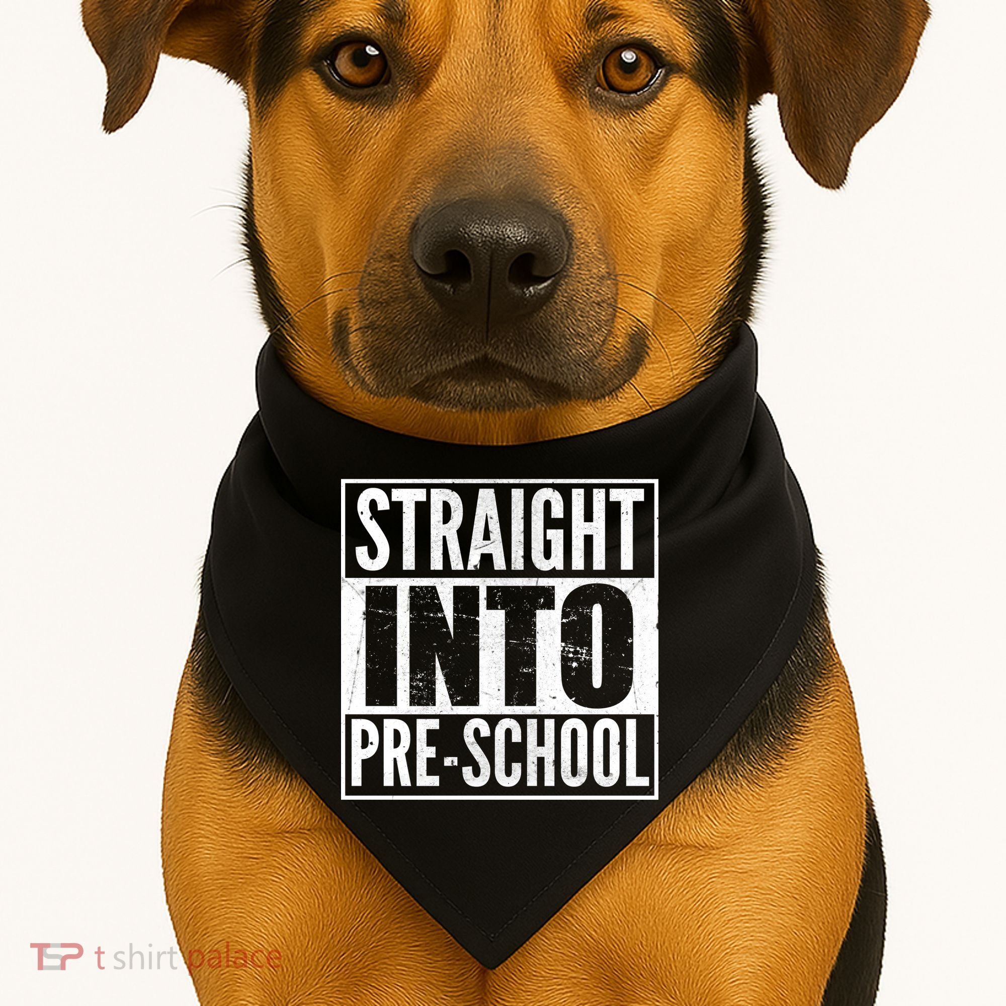 Straight Into Pre-School USA-Made Doggie Bandana