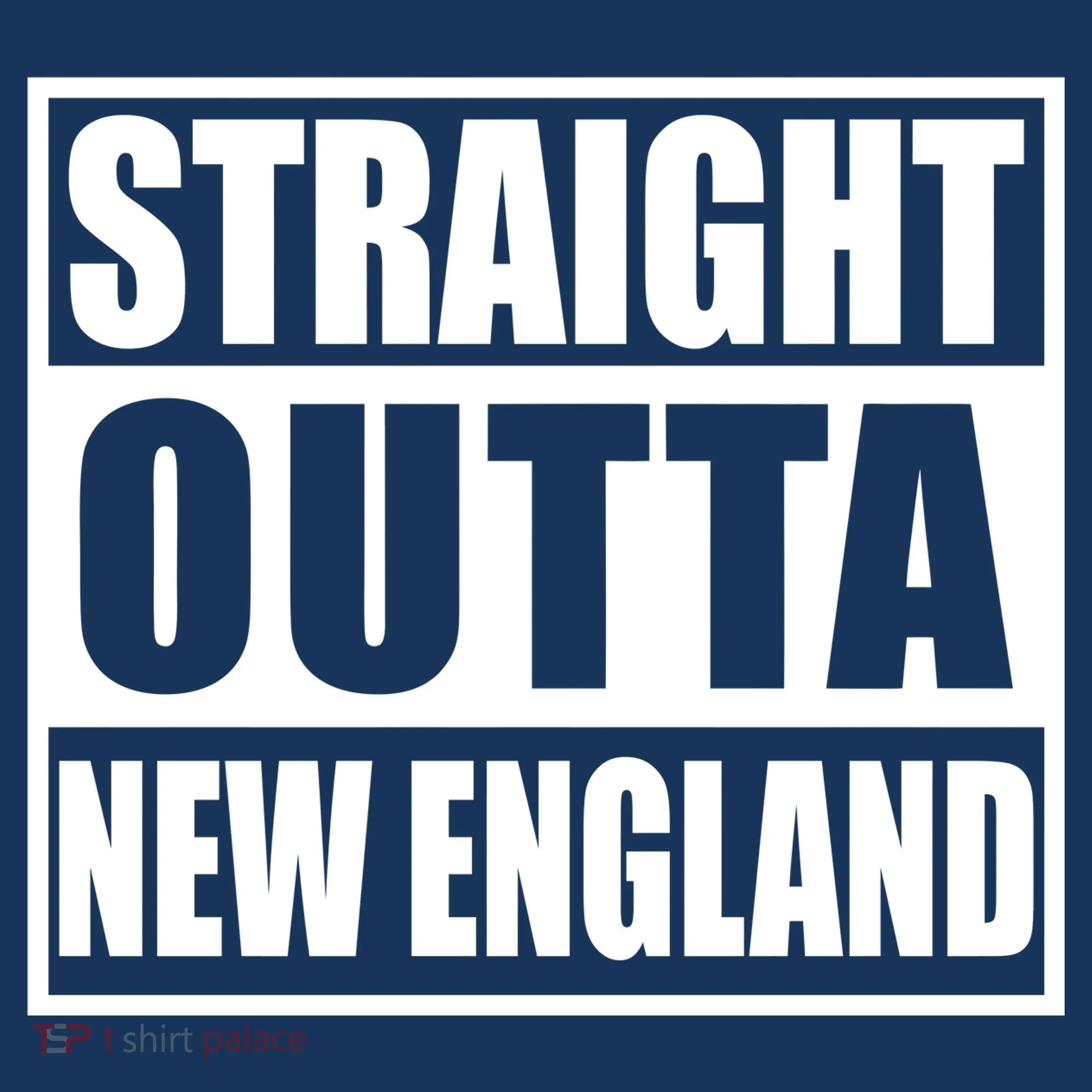 Straight Outta New England Doggie Tank