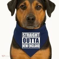 Straight Outta New England USA-Made Doggie Bandana thumb 1