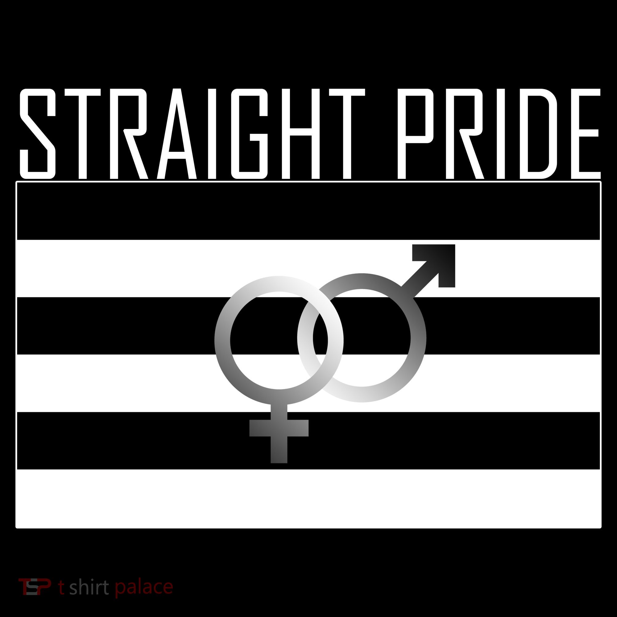 Straight Pride Sweatshirt