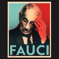 Stressed Dr Fauci Election Toddler Hoodie thumb 2