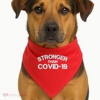 Stronger Than Covid 19 USA-Made Doggie Bandana thumb 1
