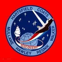 STS-41D Mission Insignia Patch Space Shuttle Challenger Doggie Tank thumb 4