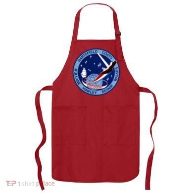 STS-41D Mission Insignia Patch Space Shuttle Challenger Apron