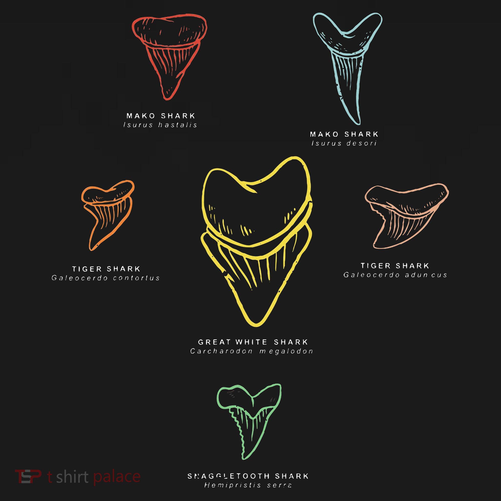 Shark Teeth Shark Tooth Types Shark Teeth Collector T-Shirt