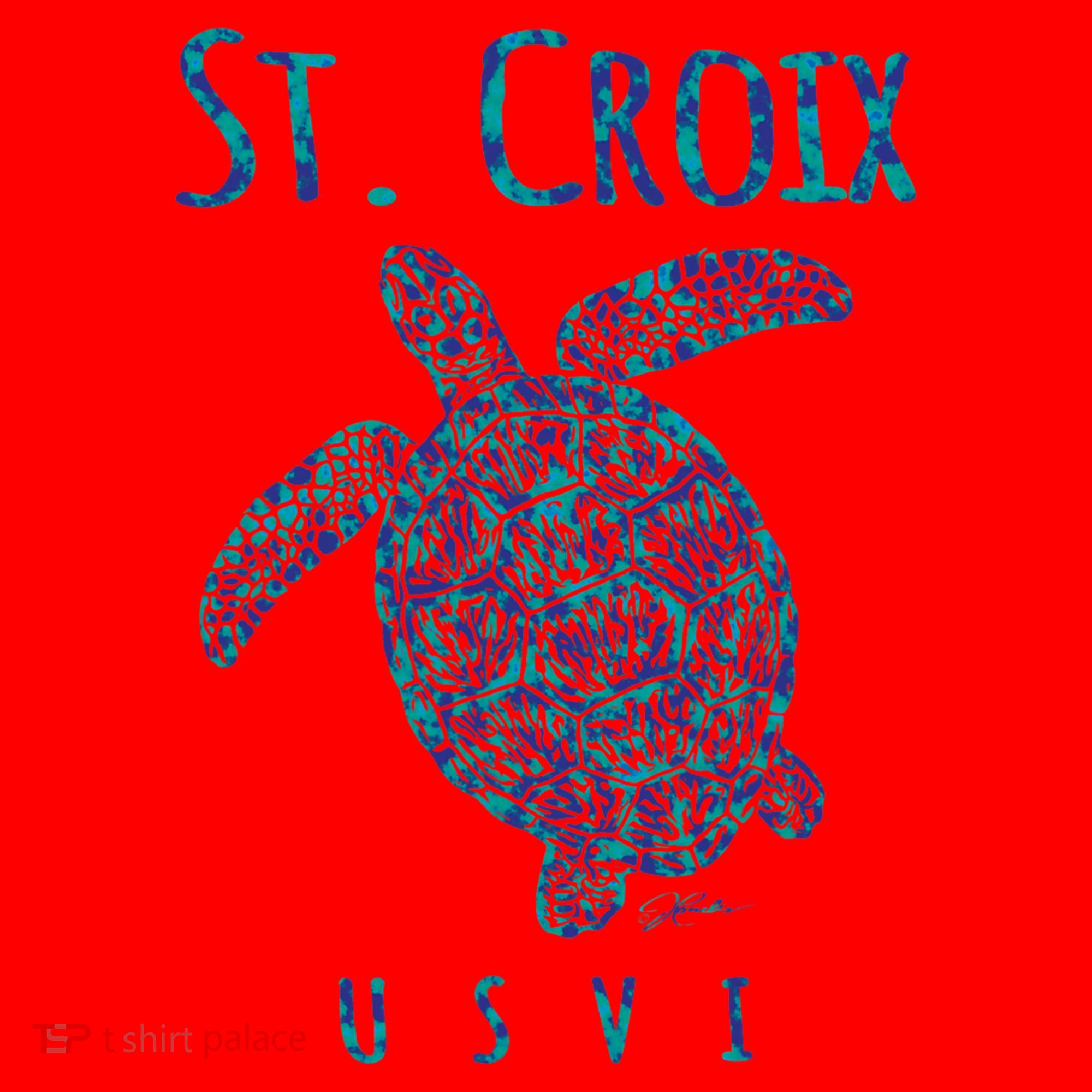Sea Turtle St Croix USVI Santa Hat