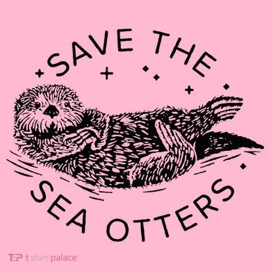 Save The Sea Otters Coaster