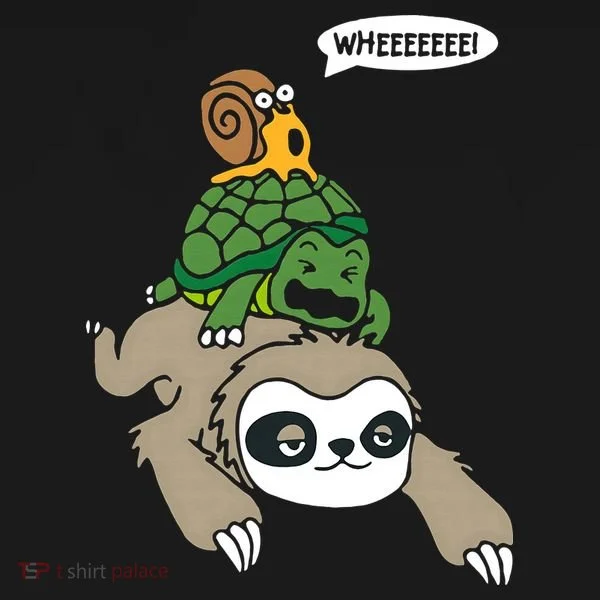Sloth Turtle Snail Piggyback Animal Running Wild Hoodie