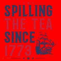 Spilling The Tea Since 1773 History Teacher Gift Funny History Teacher Santa Hat thumb 1
