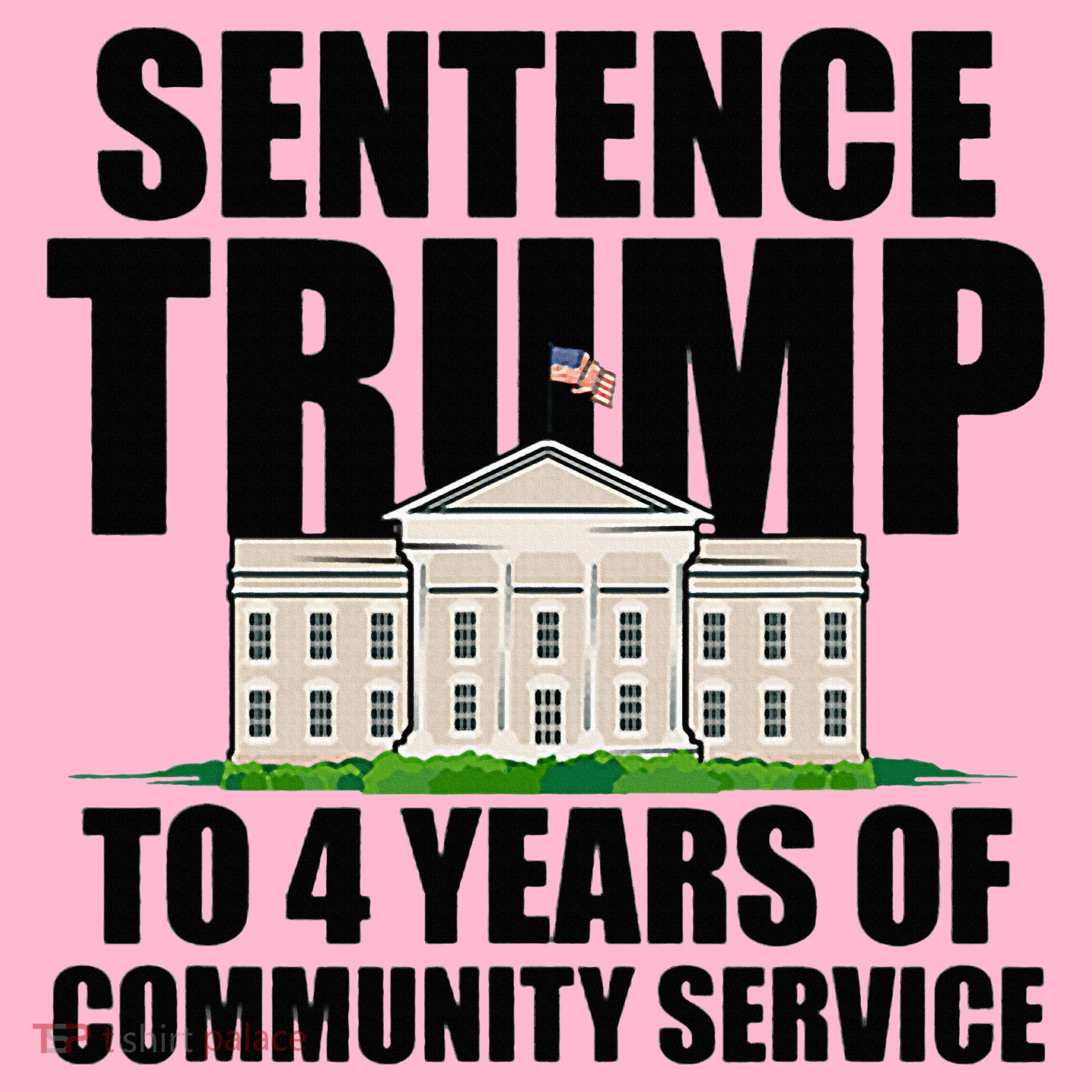 Sentence Trump To 4 Years Of Community Service Coaster