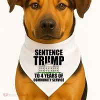 Sentence Trump To 4 Years Of Community Service USA-Made Doggie Bandana thumb 1