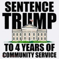 Sentence Trump To 4 Years Of Community Service Women's Hoodie thumb 2