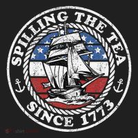 Spilling The Tea Since 1773 Funny US History Teacher Boston Hat thumb 2