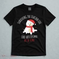 Surviving The Teacher Life One Meltdown At A Time T-Shirt thumb 5