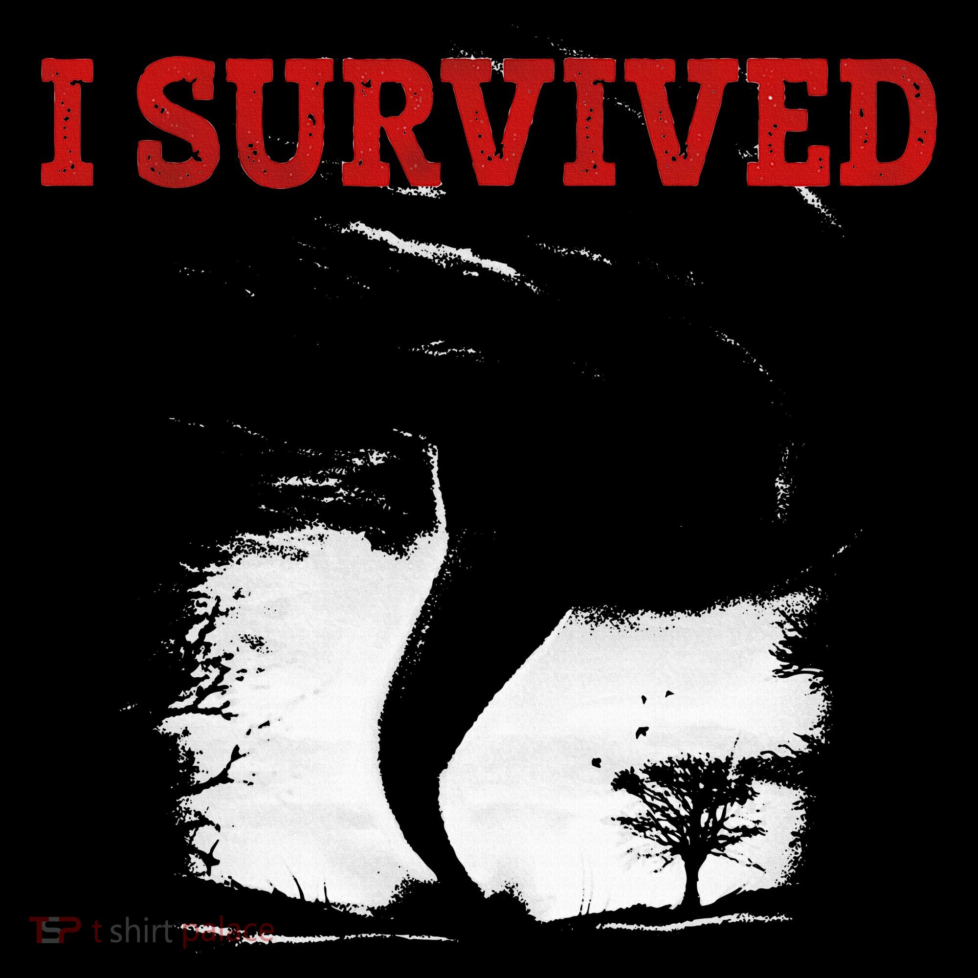 Storm Tornado Twister And Hurricane Weather I Survived Women's Hoodie