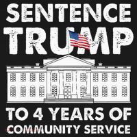 Sentence Trump To 4 Years Of Community Service Trump T-Shirt thumb 7