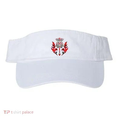 Visor