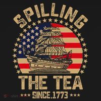 Spilling The Tea Since 1773 Patriotic History Teacher Sweatshirt thumb 3