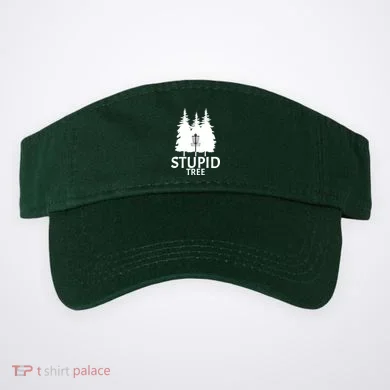 Visor
