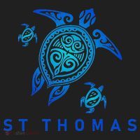 St Thomas Virgin Islands Sea Blue Tribal Turtle Hat thumb 2