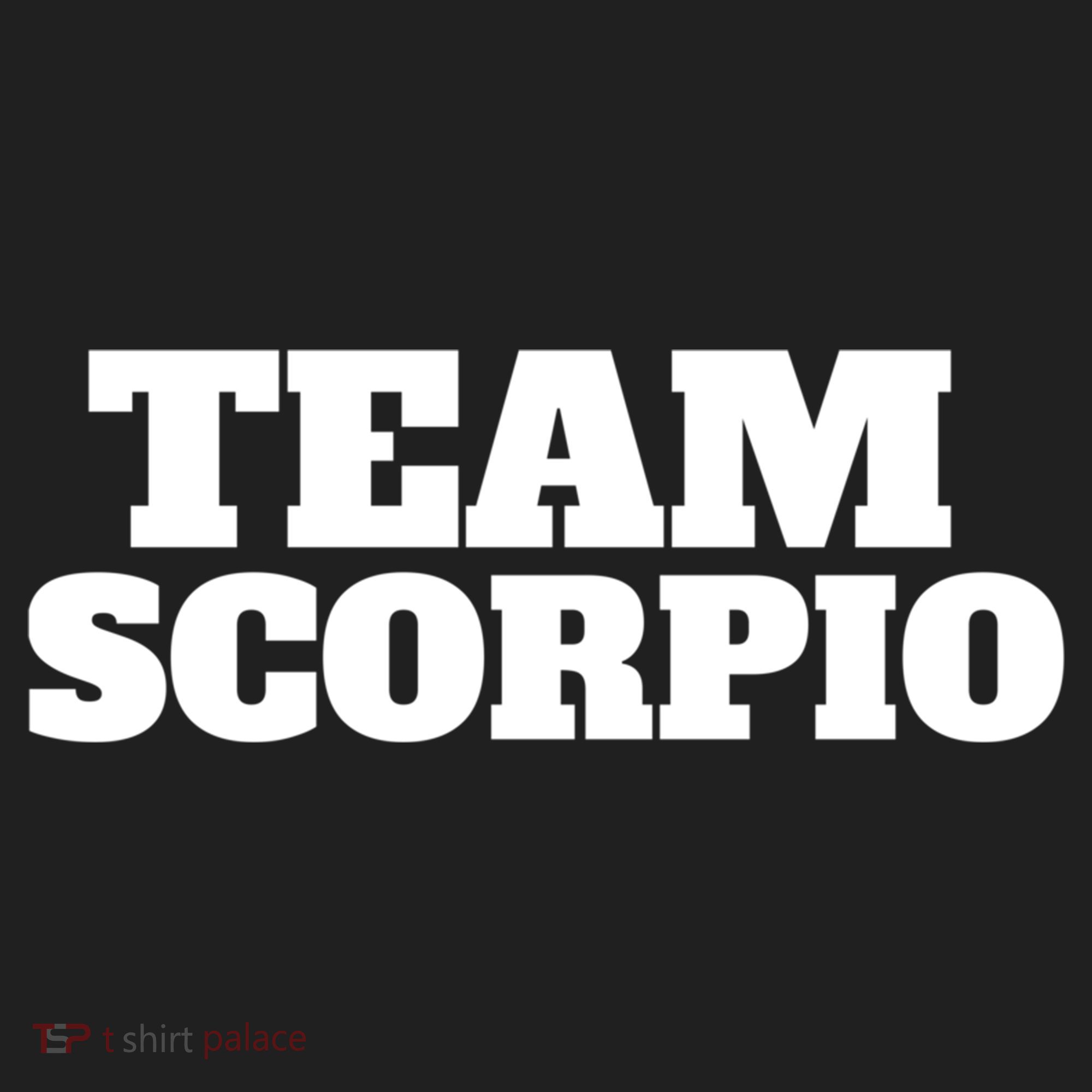 Scorpio Team Zodiac Astrology Horoscope Gift Beanie