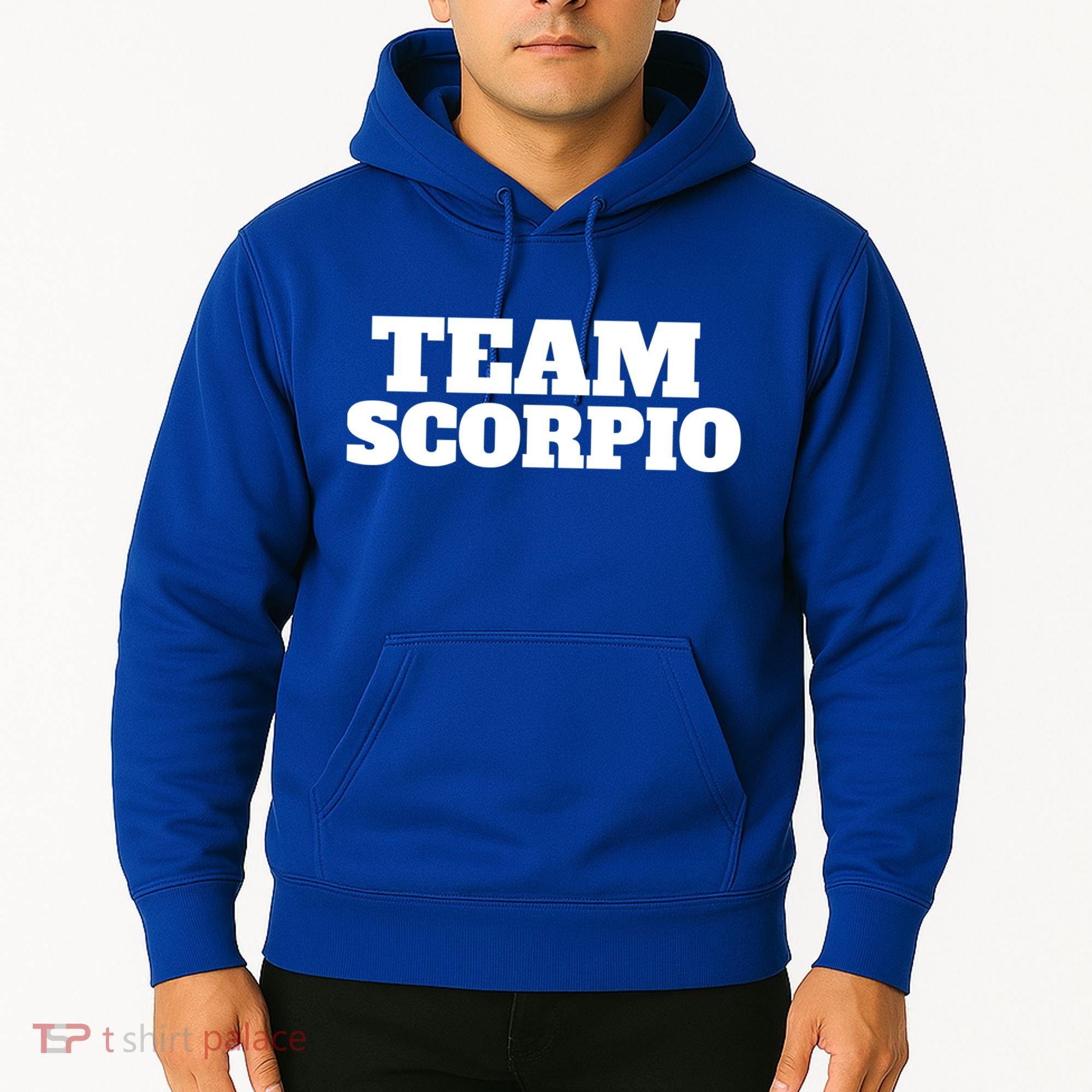Scorpio Team Zodiac Astrology Horoscope Gift Hoodie