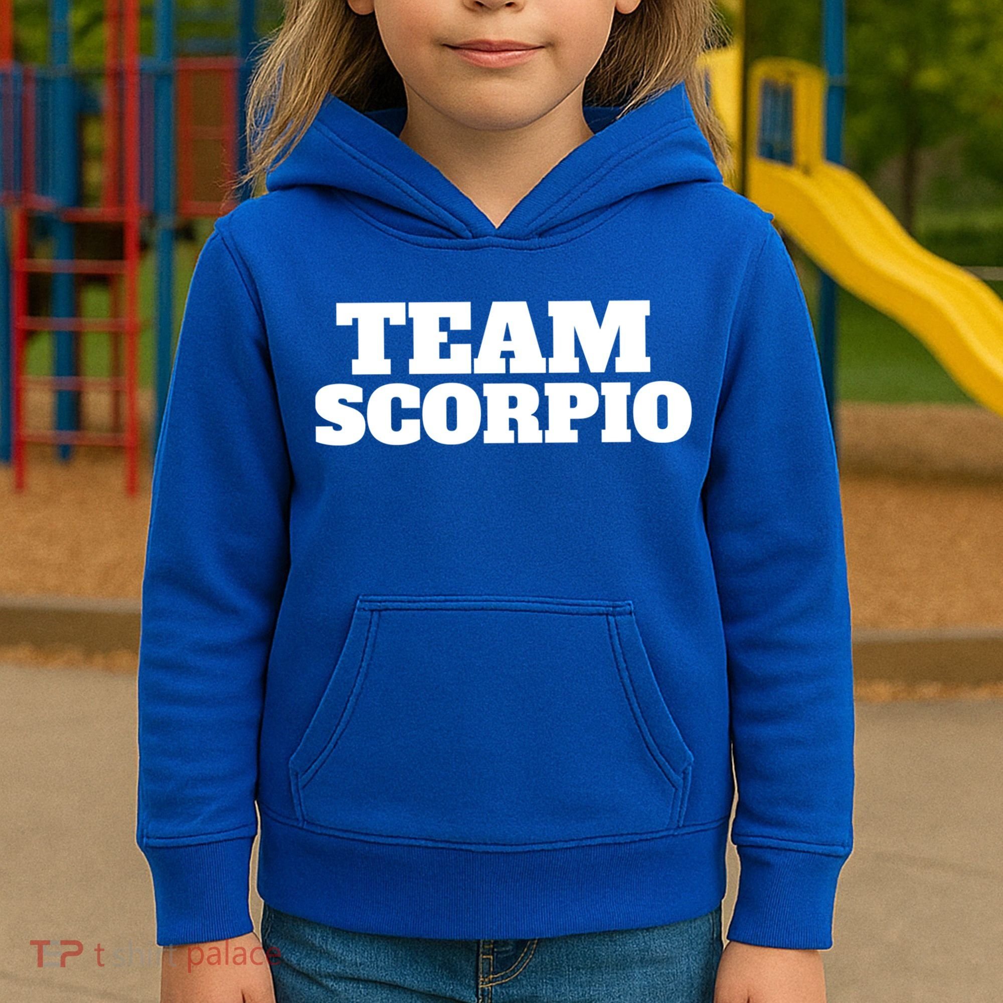 Scorpio Team Zodiac Astrology Horoscope Gift Kids Hoodie