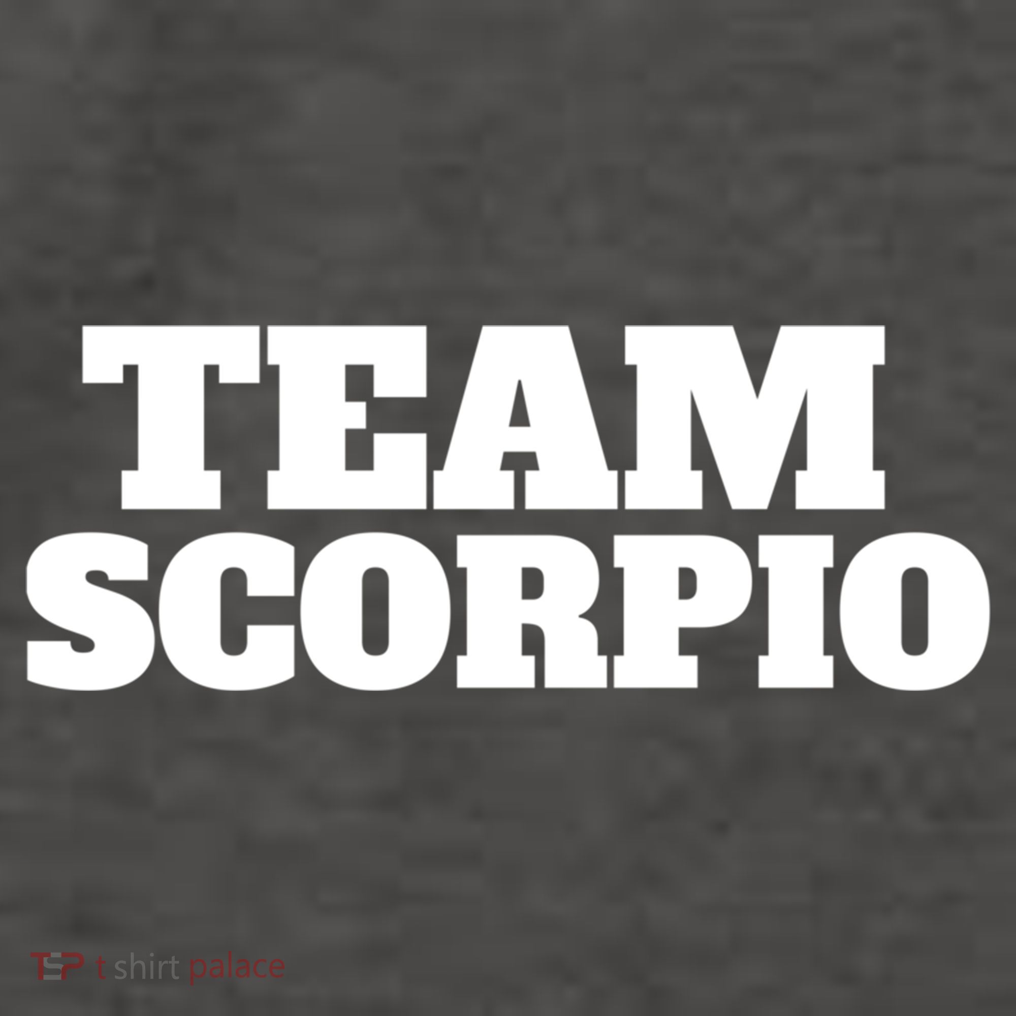 Scorpio Team Zodiac Astrology Horoscope Gift Vector Backpack